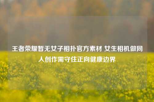 王者荣耀暂无女子相扑官方素材 女生相机做同人创作需守住正向健康边界