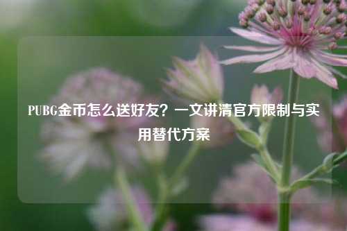 PUBG金币怎么送好友?一文讲清官方限制与实用替代方案