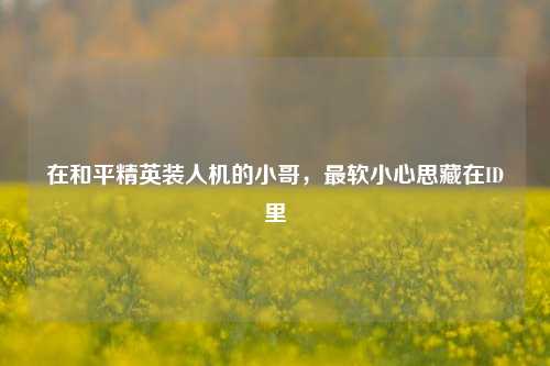 在和平精英装人机的小哥,最软小心思藏在ID里