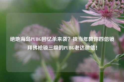 绝地海岛PUBG回忆杀来袭?找当年教你四倍镜拜佛枪锁三级的PUBG老达微信!