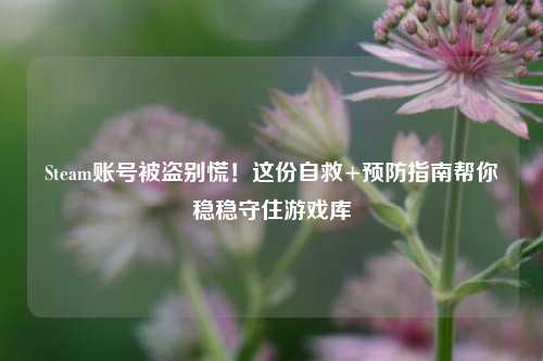 Steam账号被盗别慌!这份自救+预防指南帮你稳稳守住游戏库