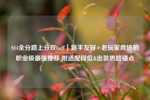 S14全分路上分双buff|新手友好+老玩家救场的职业级最强推荐 附适配段位&出装思路锚点