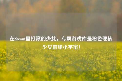 在Steam里打滚的少女,专属游戏库是粉色硬核少女前线小宇宙!