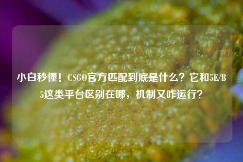 小白秒懂!CSGO官方匹配到底是什么?它和5E/B5这类平台区别在哪,机制又咋运行?