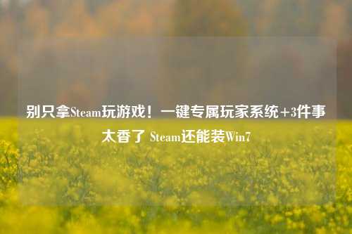别只拿Steam玩游戏!一键专属玩家系统+3件事太香了 Steam还能装Win7