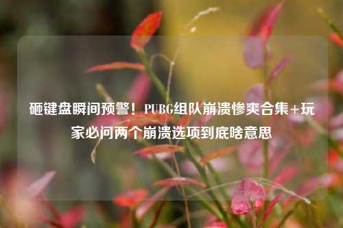 砸键盘瞬间预警!PUBG组队崩溃惨爽合集+玩家必问两个崩溃选项到底啥意思