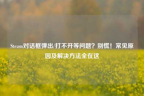 Steam对话框弹出/打不开等问题?别慌!常见原因及解决方法全在这