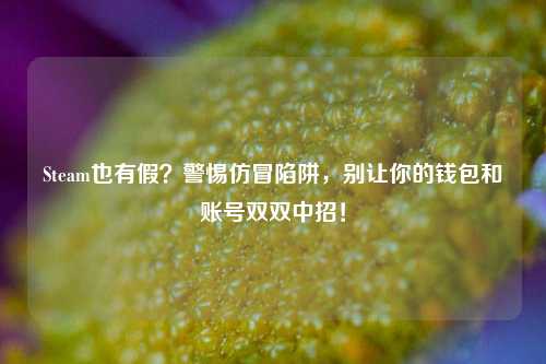 Steam也有假?警惕仿冒陷阱,别让你的钱包和账号双双中招!
