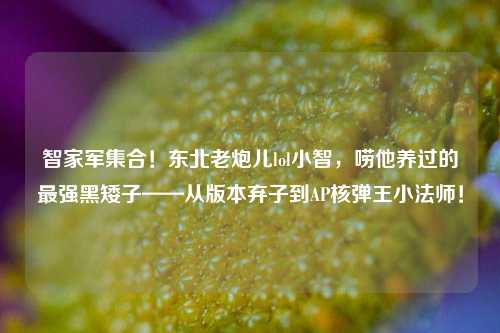 智家军集合!东北老炮儿lol小智,唠他养过的最强黑矮子——从版本弃子到AP核弹王小法师!