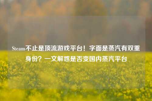 Steam不止是顶流游戏平台!字面是蒸汽有双重身份?一文解惑是否变国内蒸汽平台