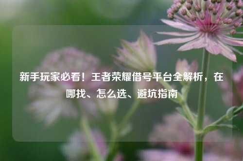 新手玩家必看!王者荣耀借号平台全解析,在哪找、怎么选、避坑指南