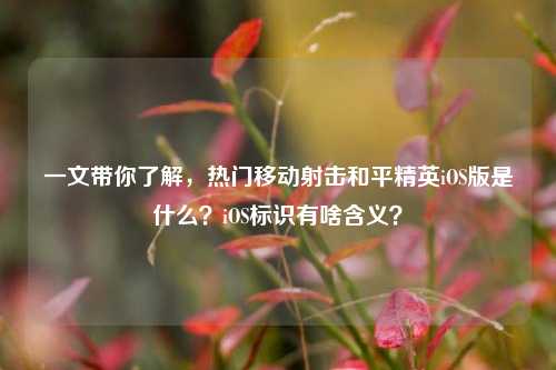 一文带你了解,热门移动射击和平精英iOS版是什么?iOS标识有啥含义?