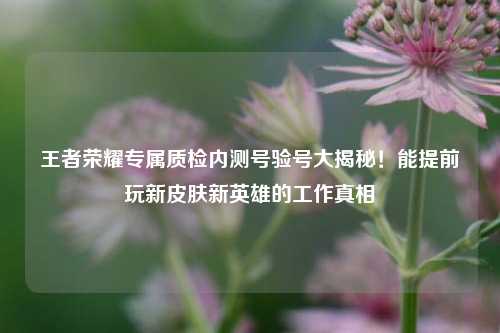 王者荣耀专属质检内测号验号大揭秘！能提前玩新皮肤新英雄的工作真相
