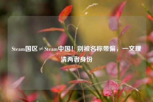 Steam国区≠Steam中国!别被名称带偏,一文理清两者身份