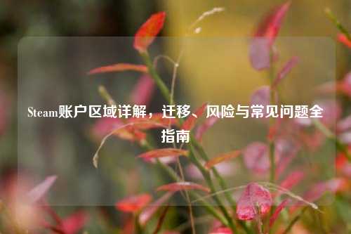 Steam账户区域详解，迁移、风险与常见问题全指南