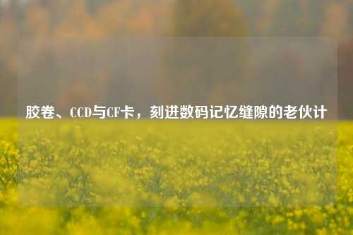 胶卷、CCD与CF卡,刻进数码记忆缝隙的老伙计