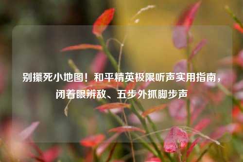 别攥死小地图!和平精英极限听声实用指南,闭着眼辨敌、五步外抓脚步声