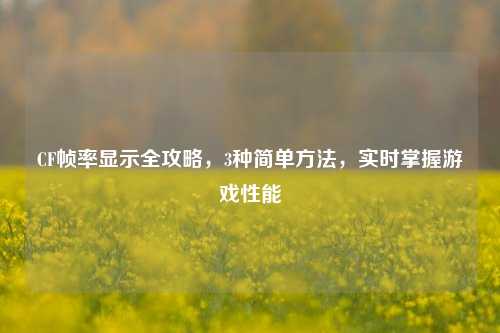CF帧率显示全攻略,3种简单方法,实时掌握游戏性能