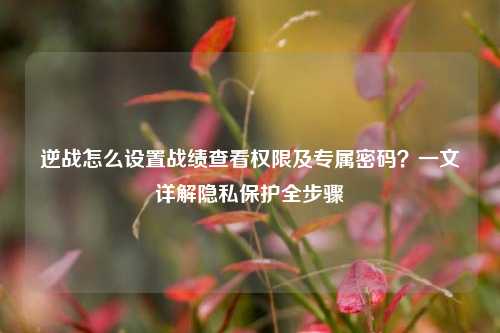 逆战怎么设置战绩查看权限及专属密码?一文详解隐私保护全步骤