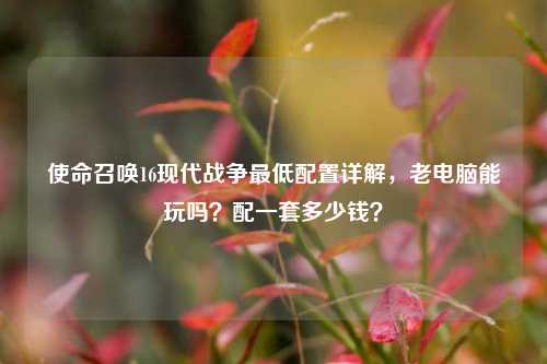 使命召唤16现代战争最低配置详解,老电脑能玩吗?配一套多少钱?