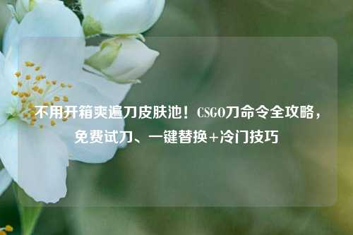 不用开箱爽遍刀皮肤池!CSGO刀命令全攻略,免费试刀、一键替换+冷门技巧