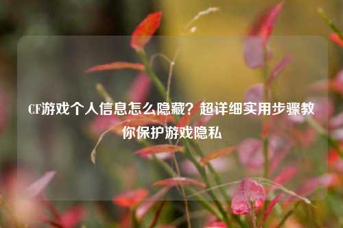 CF游戏个人信息怎么隐藏?超详细实用步骤教你保护游戏隐私