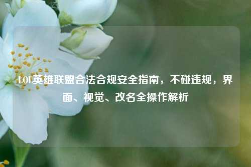 LOL英雄联盟合法合规安全指南,不碰违规,界面、视觉、改名全操作解析