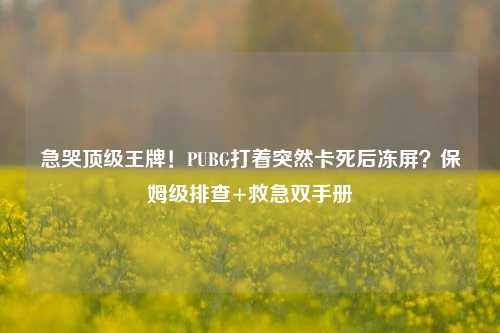 急哭顶级王牌!PUBG打着突然卡死后冻屏?保姆级排查+救急双手册