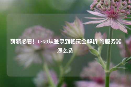 萌新必看!CSGO从登录到畅玩全解析 附服务器怎么选