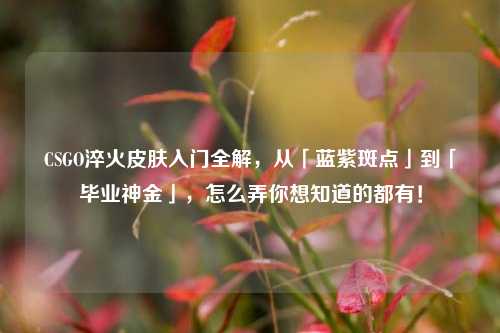CSGO淬火皮肤入门全解,从「蓝紫斑点」到「毕业神金」,怎么弄你想知道的都有!