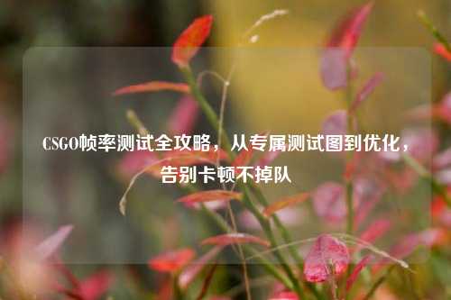 CSGO帧率测试全攻略,从专属测试图到优化,告别卡顿不掉队
