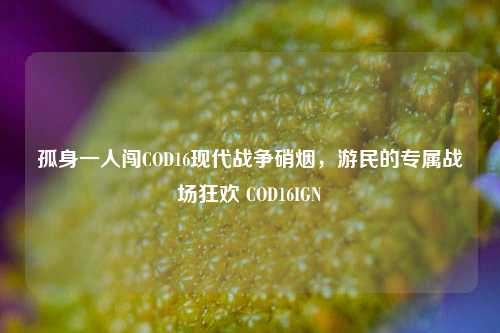 孤身一人闯COD16现代战争硝烟,游民的专属战场狂欢 COD16IGN