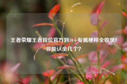 王者荣耀王者段位官方到10+专属梗称全收录!你能认全几个?