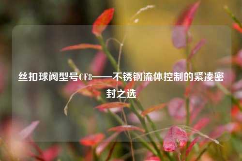 丝扣球阀型号CF8——不锈钢流体控制的紧凑密封之选