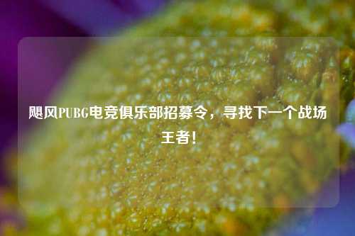 飓风PUBG电竞俱乐部招募令,寻找下一个战场王者!