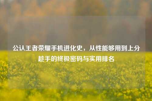 公认王者荣耀手机进化史,从性能够用到上分趁手的终极密码与实用排名