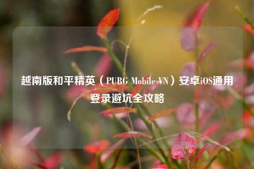 越南版和平精英（PUBG Mobile VN）安卓iOS通用登录避坑全攻略
