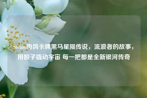 Steam肉鸽卡牌黑马星陨传说,流浪者的故事,用骰子撬动宇宙 每一把都是全新银河传奇
