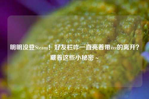明明没登Steam!好友栏咋一直亮着带zzz的离开?藏着这些小秘密~