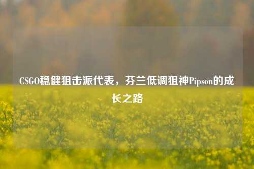 CSGO稳健狙击派代表,芬兰低调狙神Pipson的成长之路