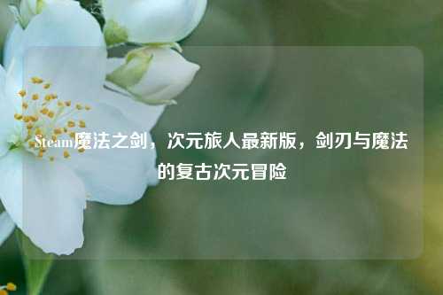 Steam魔法之剑,次元旅人最新版,剑刃与魔法的复古次元冒险