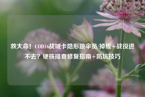 救大命!COD16战域卡隐形跳伞员/掉线+战役进不去?硬核排查修复指南+防坑技巧