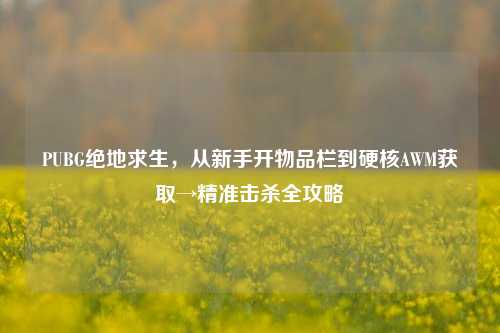 PUBG绝地求生,从新手开物品栏到硬核AWM获取→精准击杀全攻略
