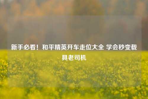 新手必看!和平精英开车走位大全 学会秒变载具老司机