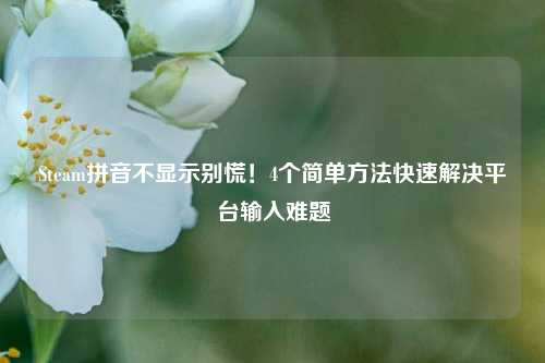 Steam拼音不显示别慌!4个简单方法快速解决平台输入难题