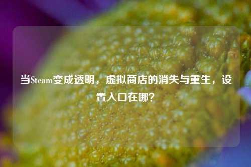 当Steam变成透明,虚拟商店的消失与重生,设置入口在哪?