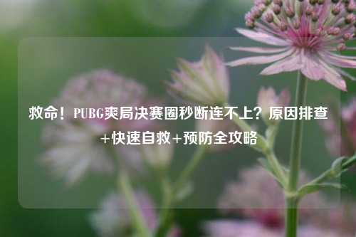 救命!PUBG爽局决赛圈秒断连不上?原因排查+快速自救+预防全攻略