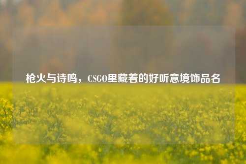 枪火与诗鸣,CSGO里藏着的好听意境饰品名