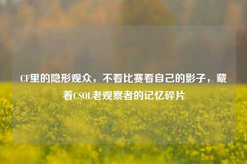CF里的隐形观众,不看比赛看自己的影子,藏着CSOL老观察者的记忆碎片