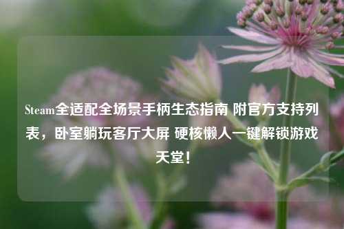 Steam全适配全场景手柄生态指南 附官方支持列表,卧室躺玩客厅大屏 硬核懒人一键解锁游戏天堂!